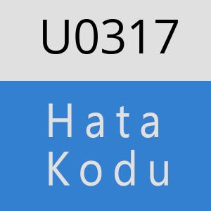 U0317 hatasi