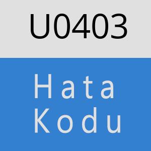 U0403 hatasi