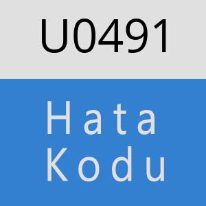 U0491 hatasi