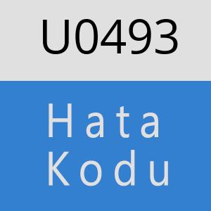 U0493 hatasi