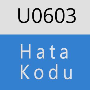 U0603 hatasi