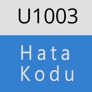 U1003 hatasi