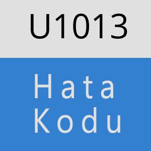 U1013 hatasi