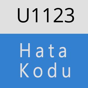 U1123 hatasi