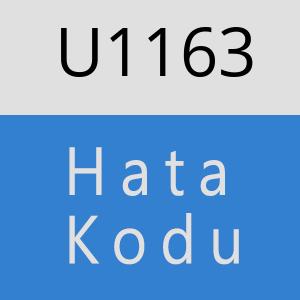 U1163 hatasi