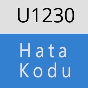 U1230 hatasi