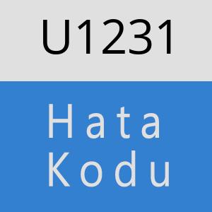 U1231 hatasi