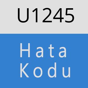 U1245 hatasi