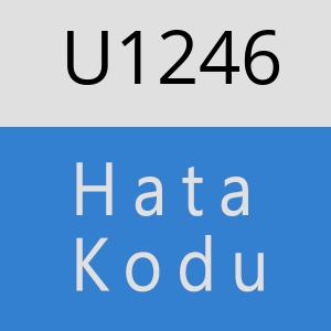 U1246 hatasi