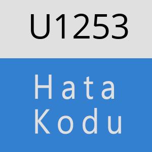 U1253 hatasi