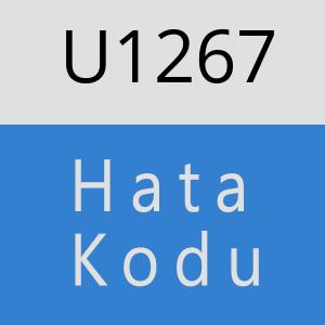 U1267 hatasi