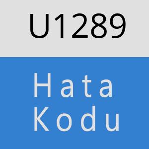 U1289 hatasi