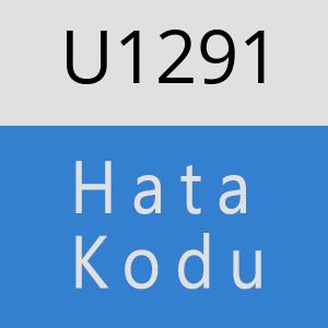 U1291 hatasi