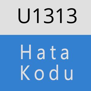 U1313 hatasi