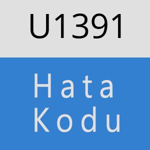 U1391 hatasi