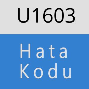 U1603 hatasi