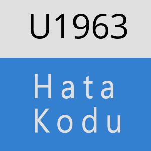 U1963 hatasi