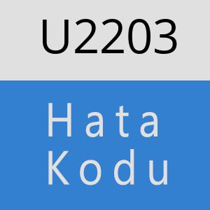 U2203 hatasi