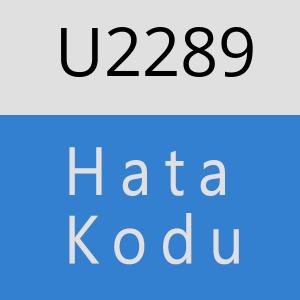 U2289 hatasi