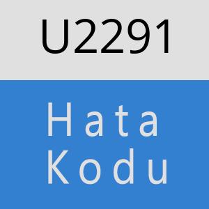 U2291 hatasi