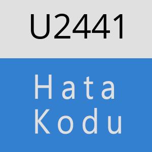 U2441 hatasi