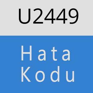 U2449 hatasi