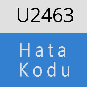 U2463 hatasi