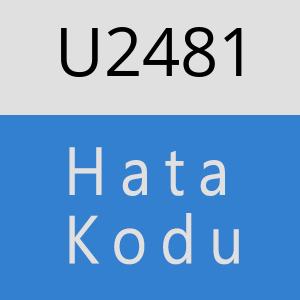 U2481 hatasi