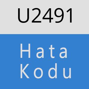 U2491 hatasi