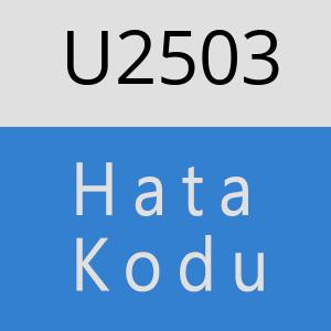 U2503 hatasi