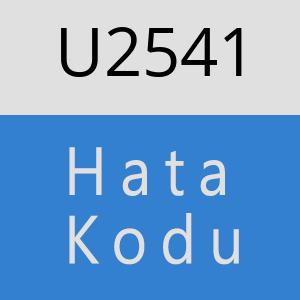 U2541 hatasi