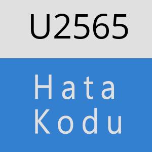 U2565 hatasi