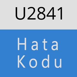 U2841 hatasi