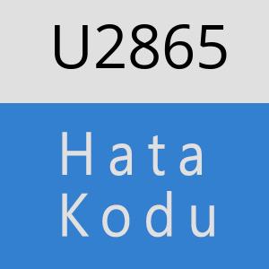 U2865 hatasi