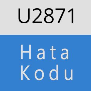 U2871 hatasi