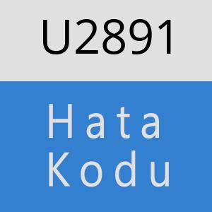 U2891 hatasi