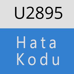 U2895 hatasi