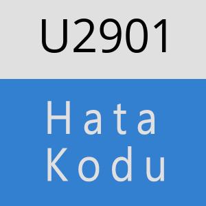 U2901 hatasi