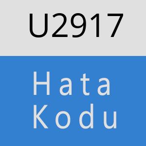 U2917 hatasi