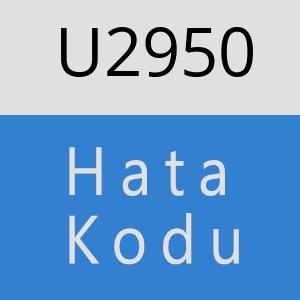 U2950 hatasi