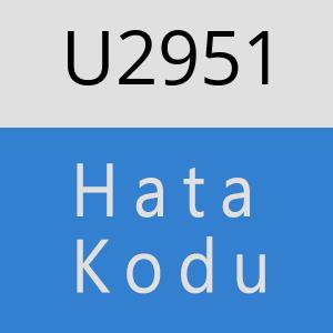 U2951 hatasi