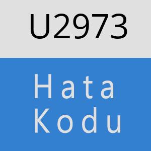 U2973 hatasi