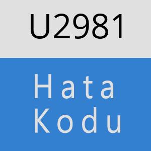 U2981 hatasi