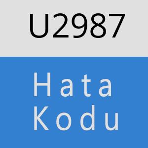 U2987 hatasi