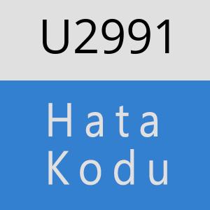 U2991 hatasi