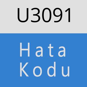 U3091 hatasi