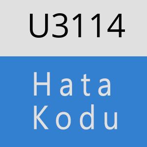 U3114 hatasi