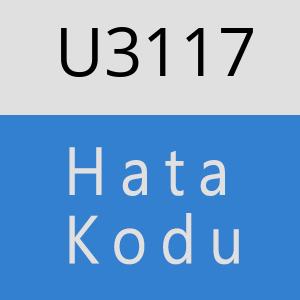 U3117 hatasi