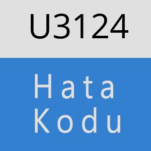 U3124 hatasi