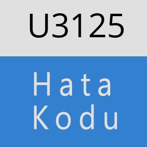 U3125 hatasi